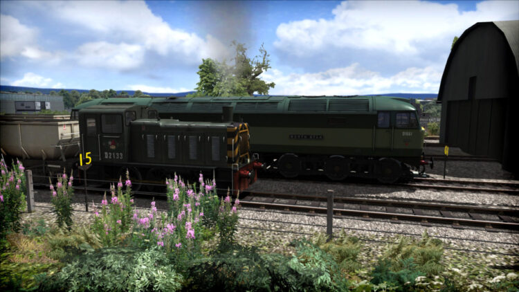 Train Simulator: WSR Diesels Loco Add-On (PC) Скриншот — 14
