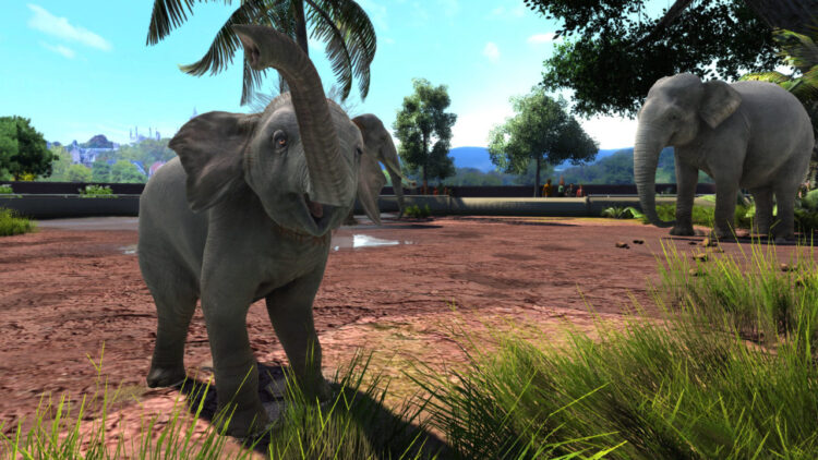 Zoo Tycoon: Ultimate Animal Collection Скриншот — 5