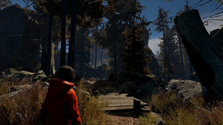 Through the Woods (PC) Скриншот — 2