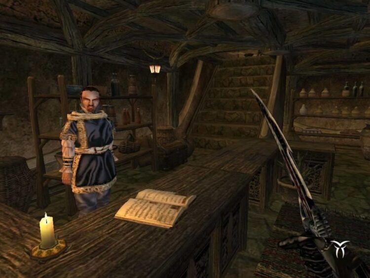 The Elder Scrolls III: Morrowind Game of the Year Edition (PC) Скриншот — 10