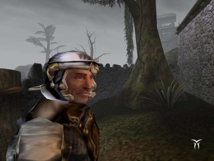 The Elder Scrolls III: Morrowind Game of the Year Edition (PC) Скриншот — 1