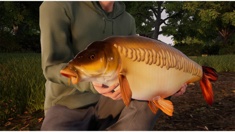 Fishing Sim World: Pro Tour - Giant Carp Pack (PC) Скриншот — 8
