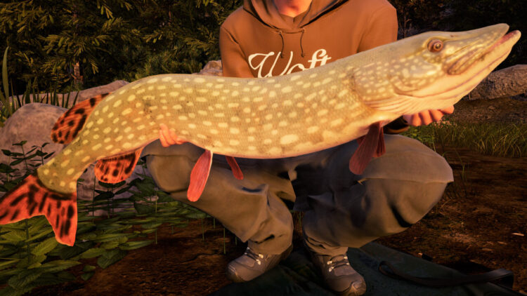 Fishing Sim World: Pro Tour - Jezioro Bestii (PC) Скриншот — 2