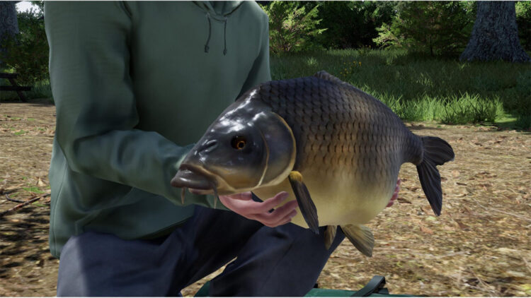 Fishing Sim World: Pro Tour - Giant Carp Pack (PC) Скриншот — 7