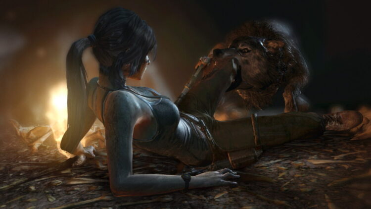 Tomb Raider GOTY Edition (PC) Скриншот — 9