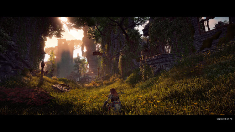 Horizon Zero Dawn Complete Edition (PC) Скриншот — 1