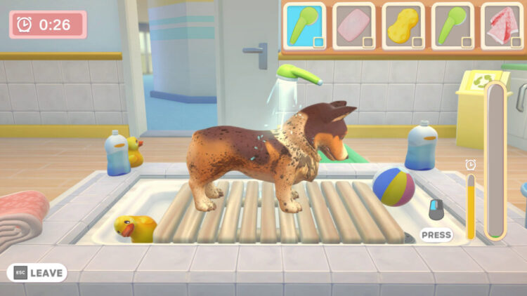 My Universe - Pet Clinic Cats & Dogs (PC) Скриншот — 3